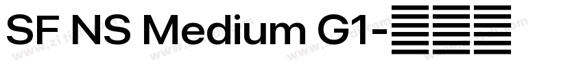 SF NS Medium G1字体转换 SF NS Medium G1字体转换